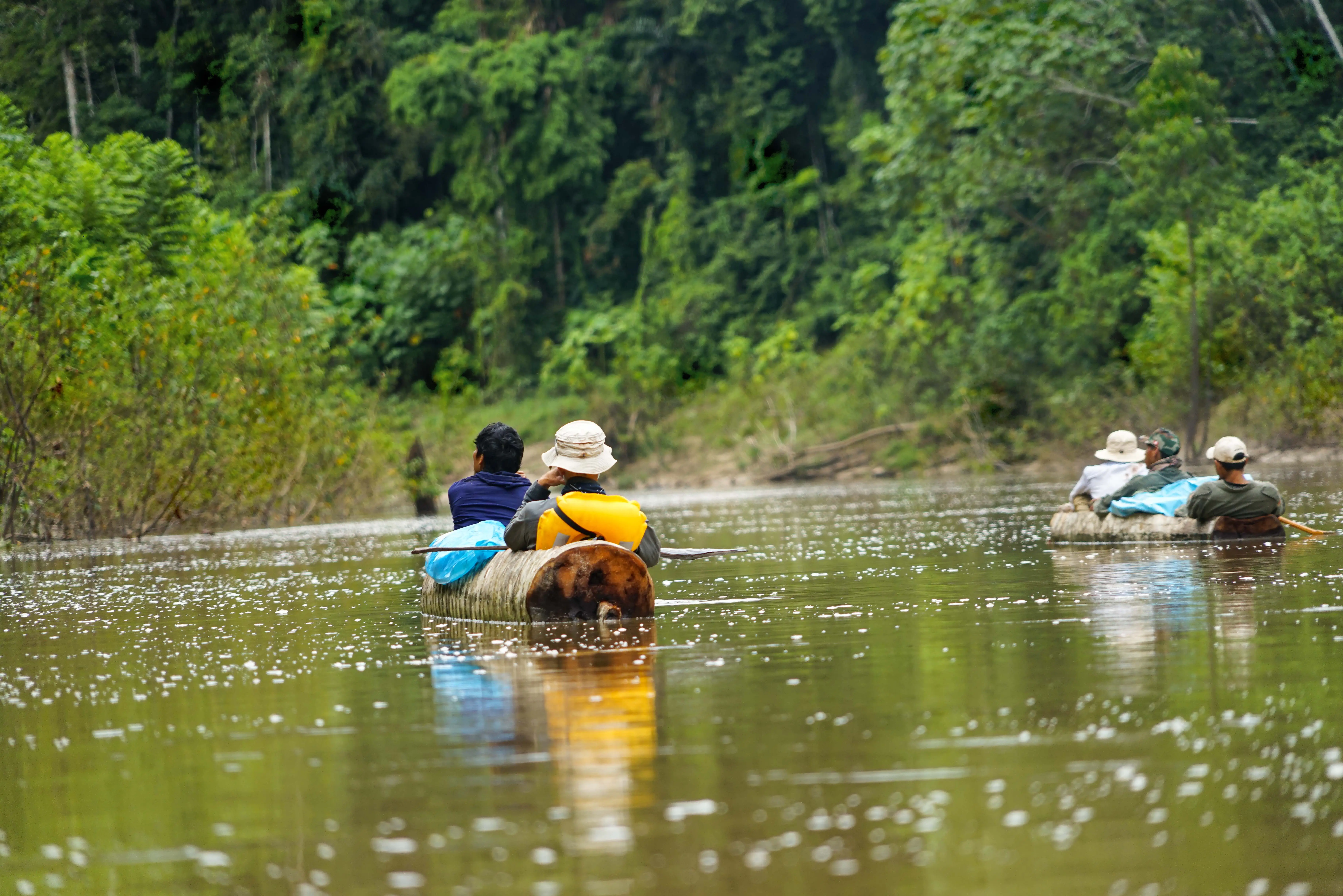 What To Do In The Amazon Rainforest 9 Real Expedition Experiences In What To Do In The Amazon Rainforest 9 Real Expedition Experiences In