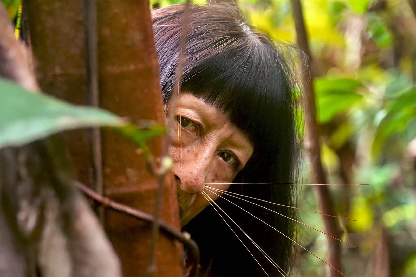 Faces of the Amazon Frontier A Matsés Woman in the Deep Peruvian Jungle