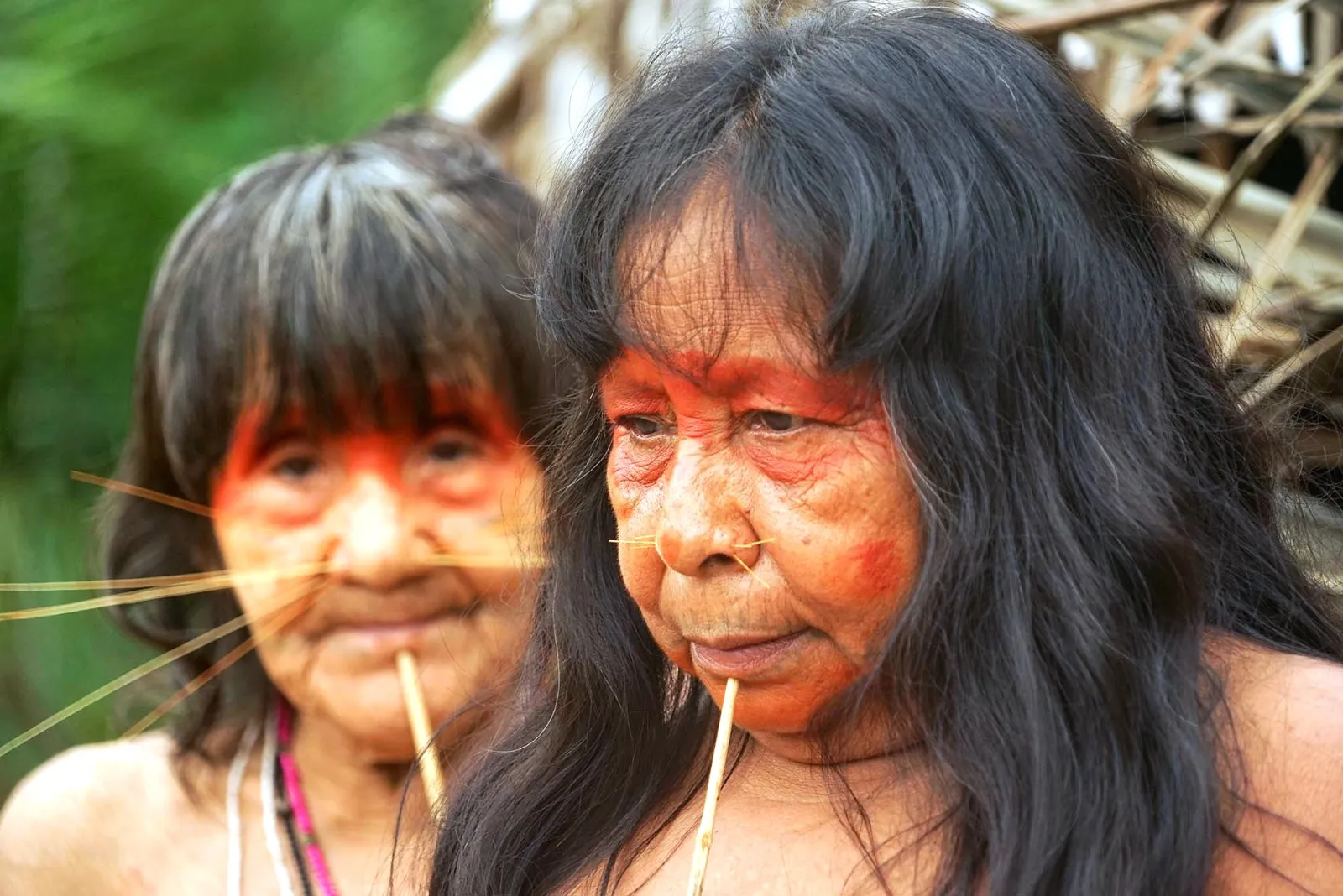 Facial Tattoos of Matsés Women Living Ancestral Traditions of the Amazon