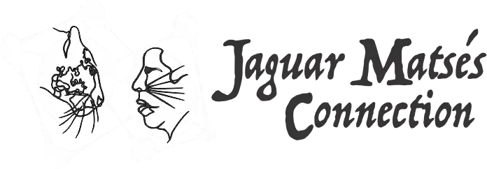 Iconos para guia-Matses Connection
