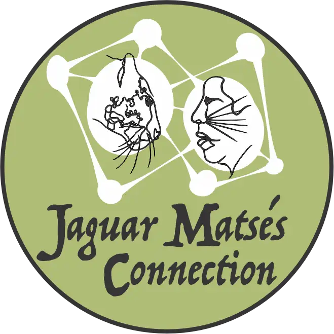 Iconos para guia-Redondo-MatsesJaguarConnection