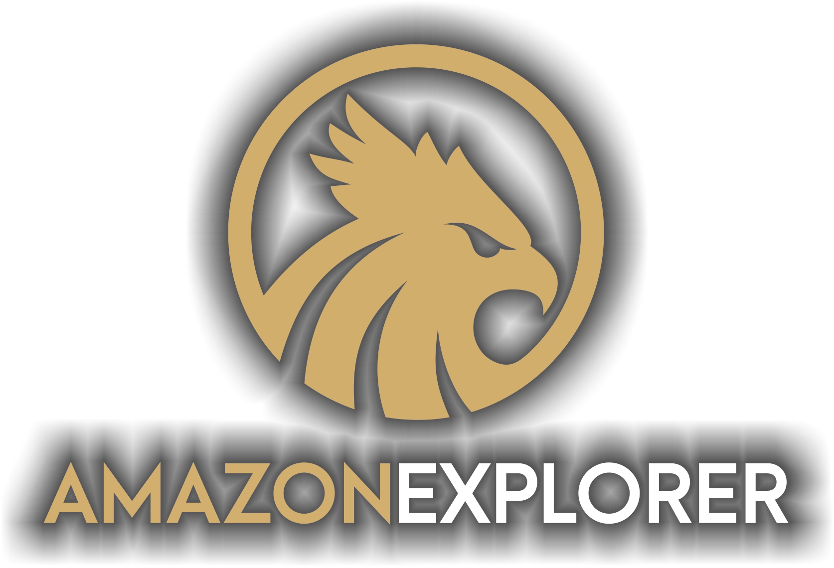 Amazon Explorer