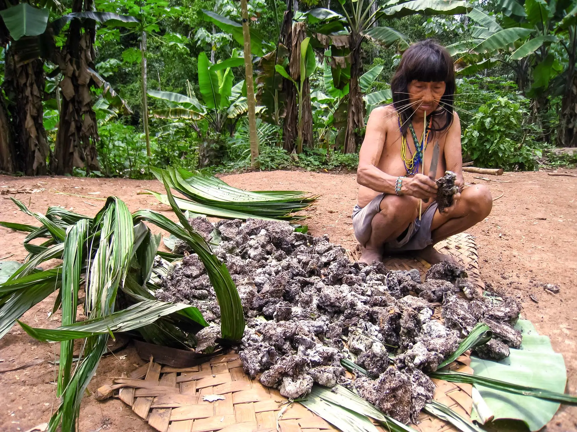 Matsés Elder Preparing Traditional Copal Resin for Maloca Torches