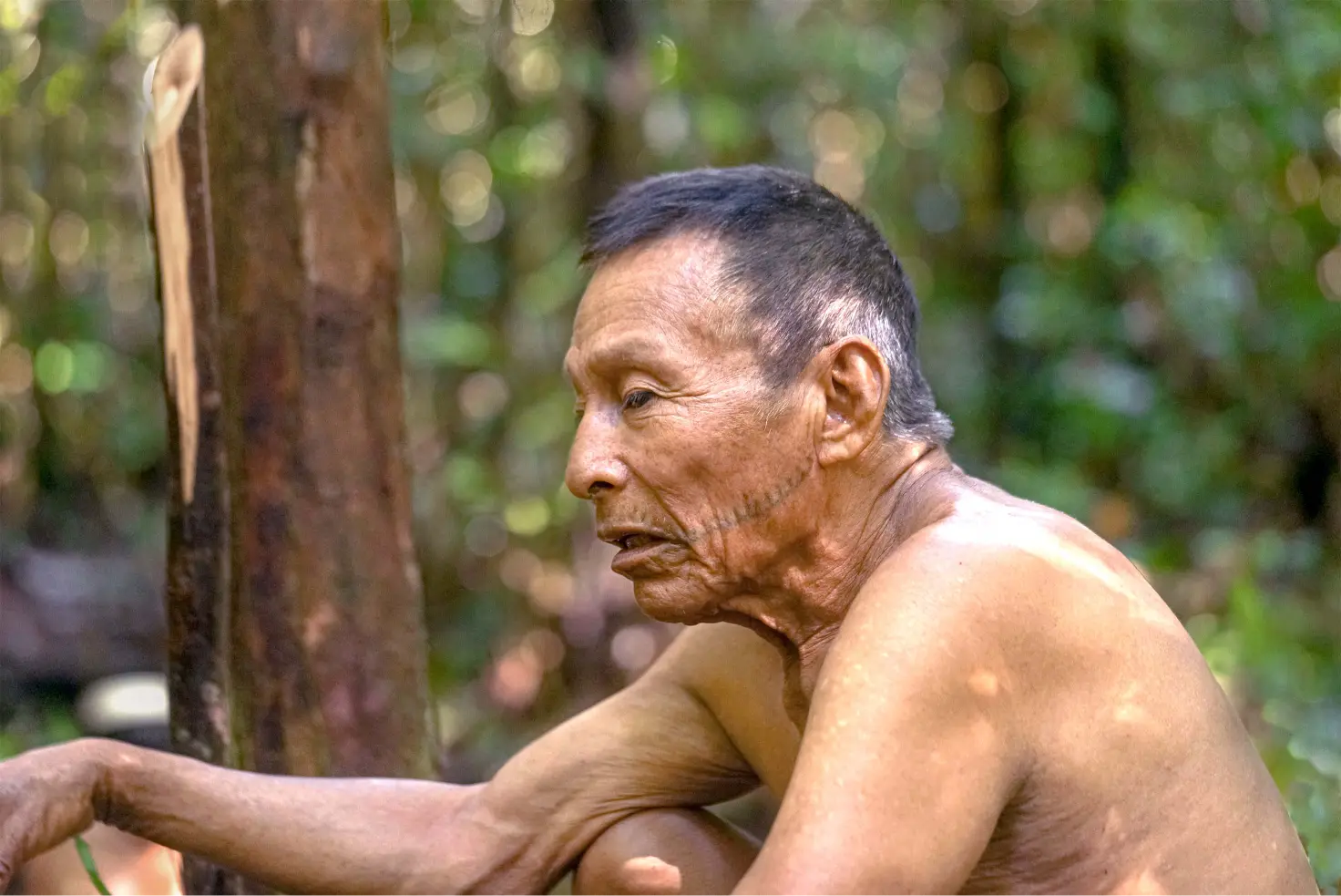 Matsés Elder with Whisker Tattoos and Scarification