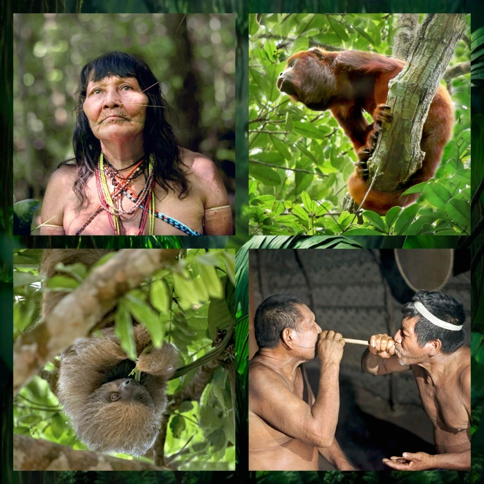 Matses Expedition-15 day-amazon explorer peru