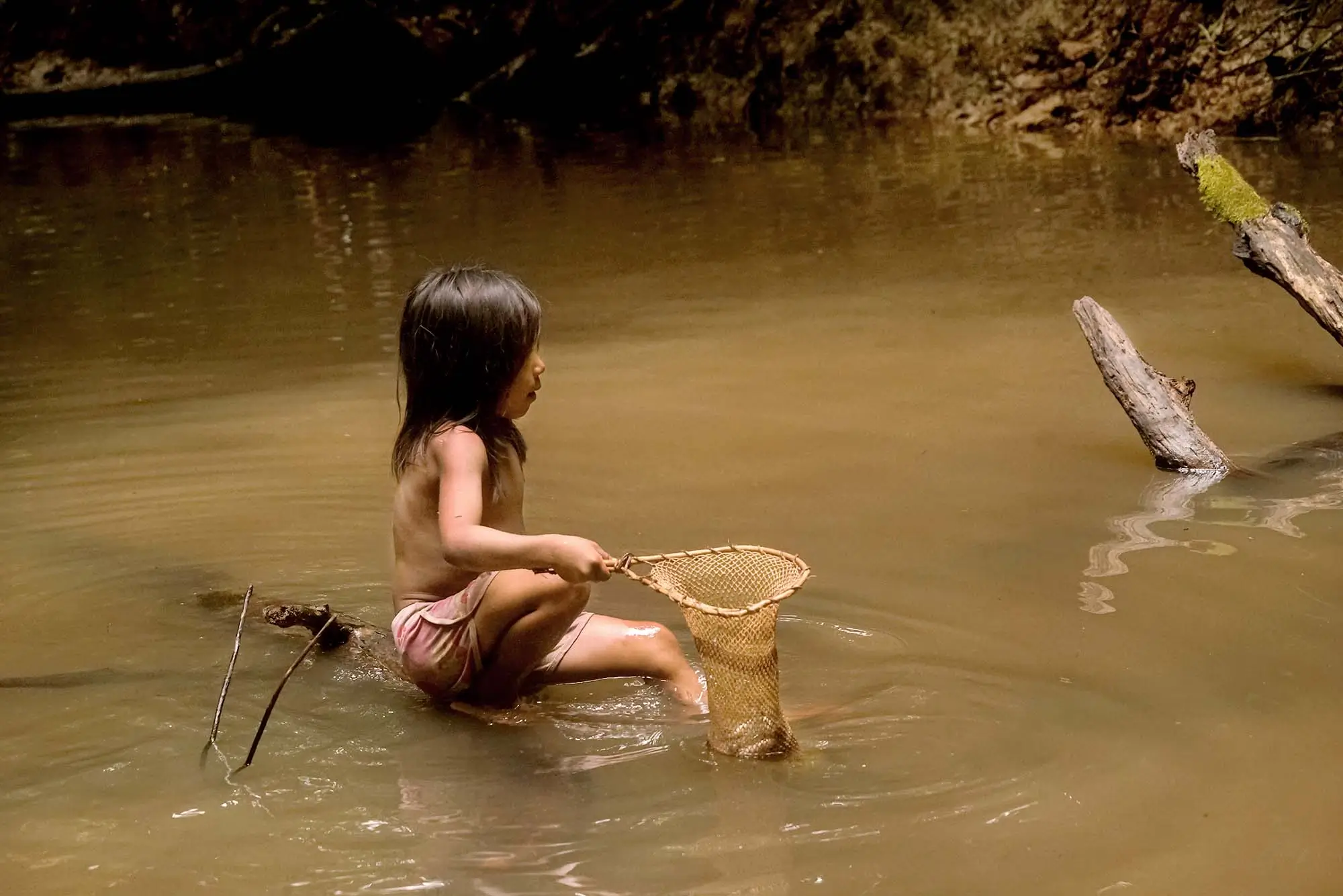 Matsés Girl Using a Traditional Net to Harvest Fish with Barbasco