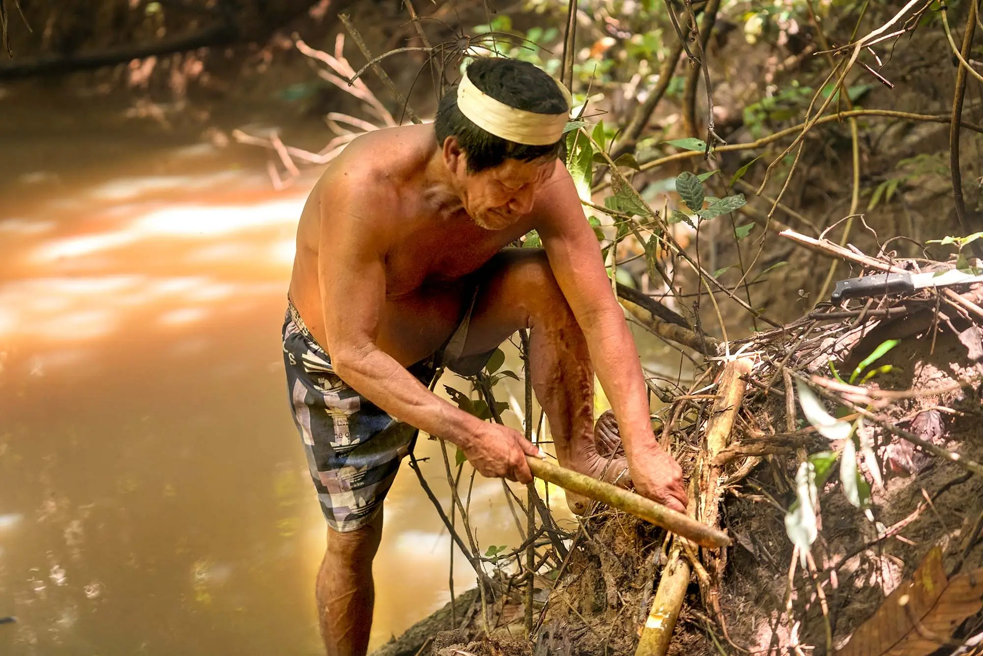 Matsés Hunter Preparing Barbasco Roots for Traditional Amazonian Fishing