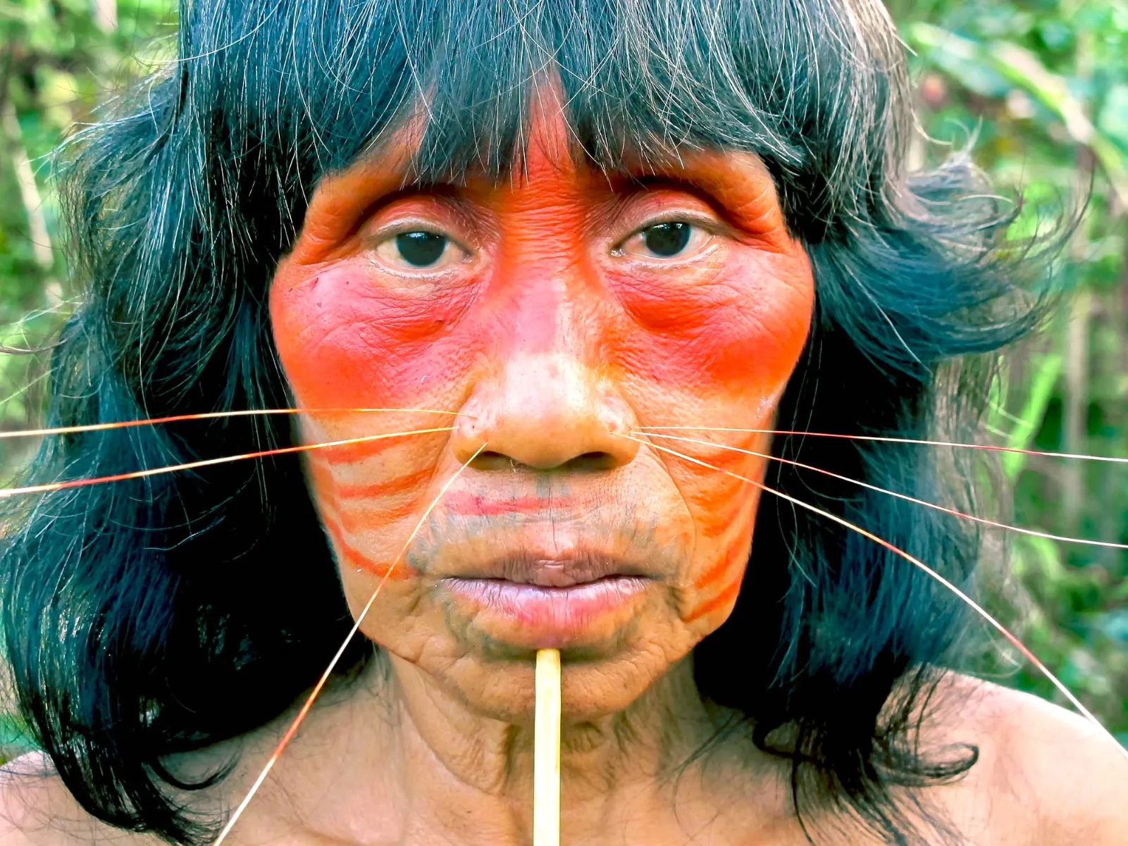 Matsés Indigenous Woman with Traditional Facial Tattoos in the Peruvian Amazon Rainforest