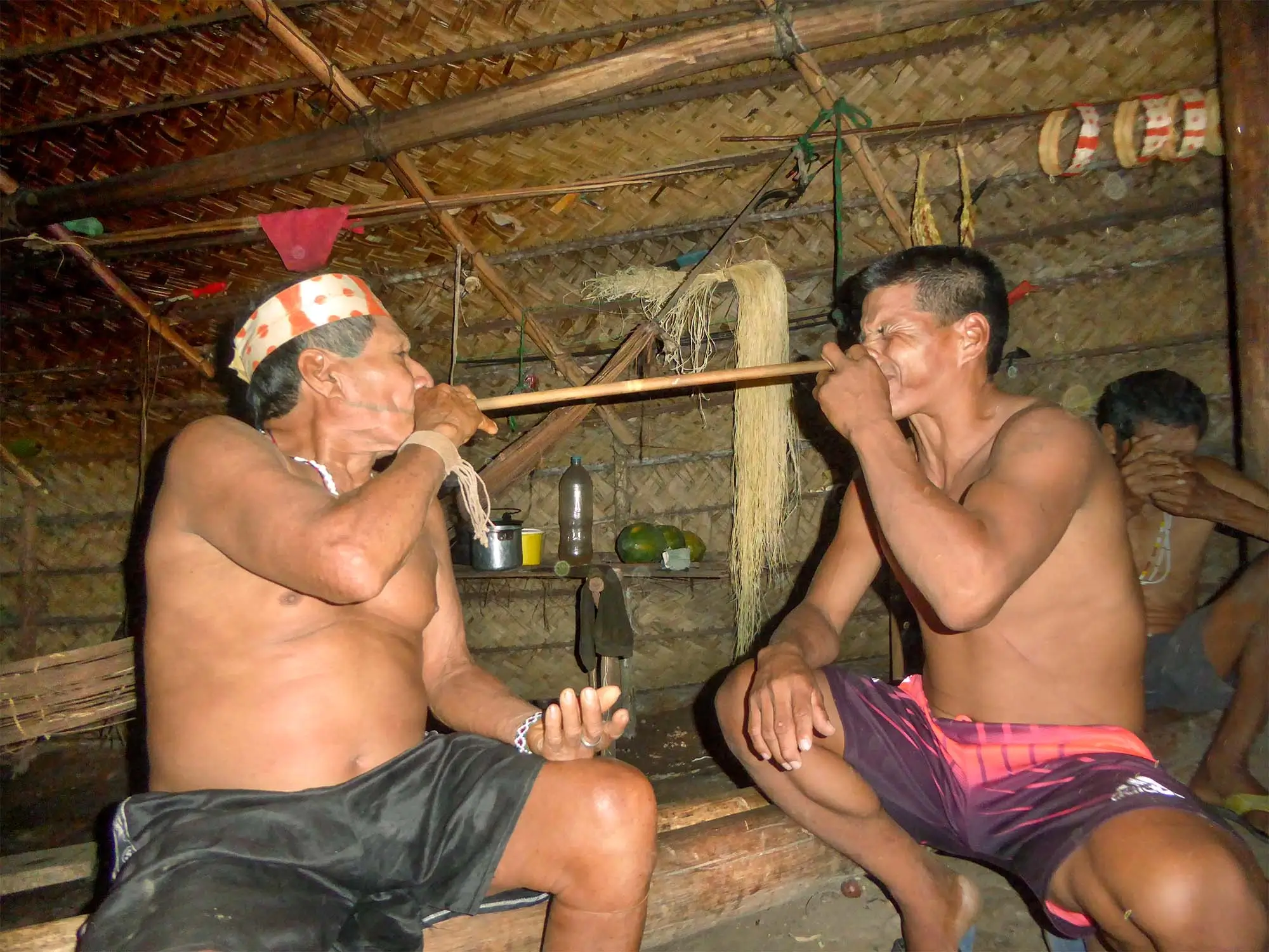 Matsés Tobacco Blowing Ritual (Nënë) in Traditional Amazonian Setting