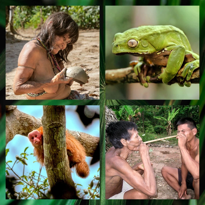 Matses Trek-12 days amazon explorer peru