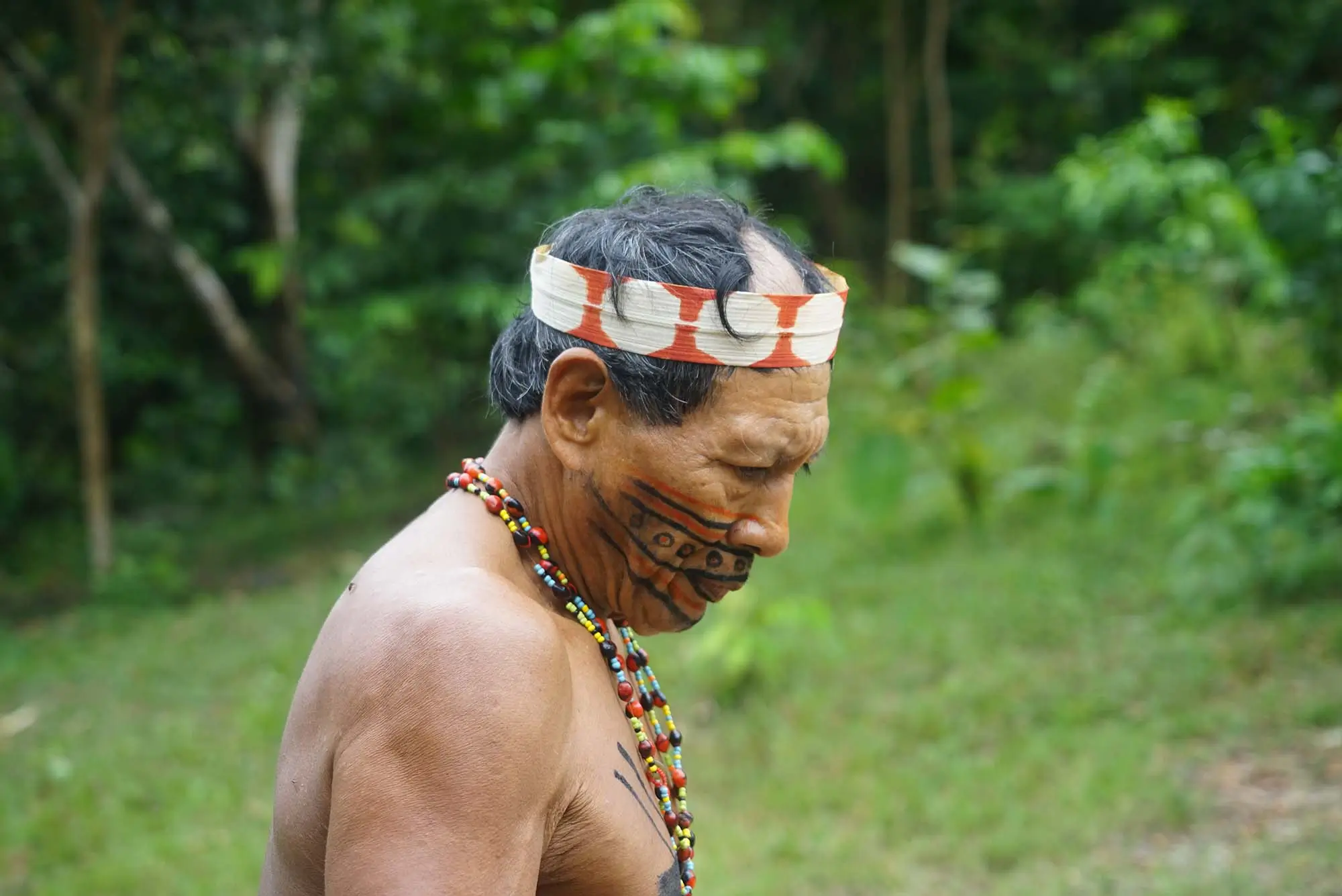 Matsés Warrior with Traditional Face Paint and Ceremonial Headband