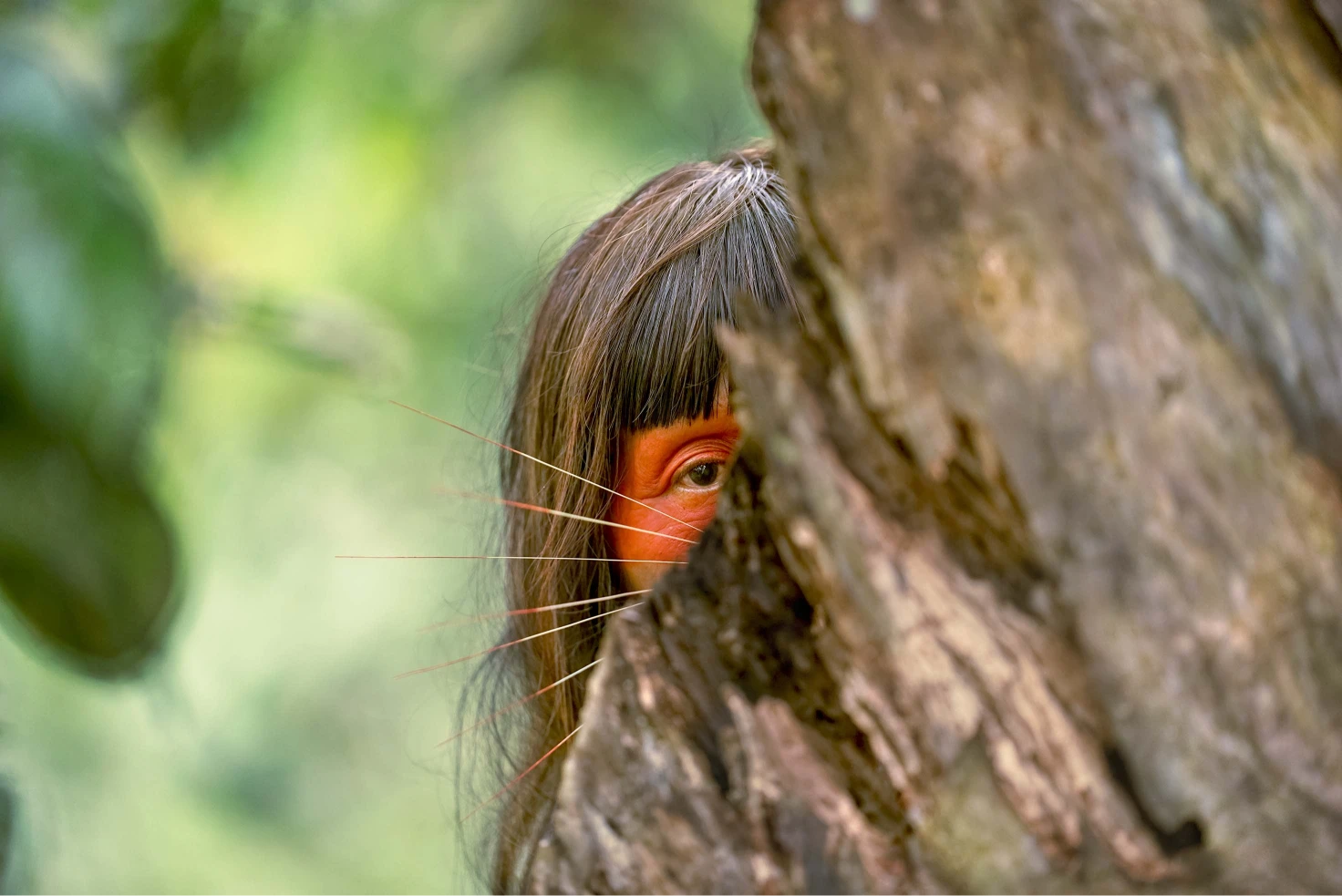Matsés Woman Behind Tree in Amazon Rainforest