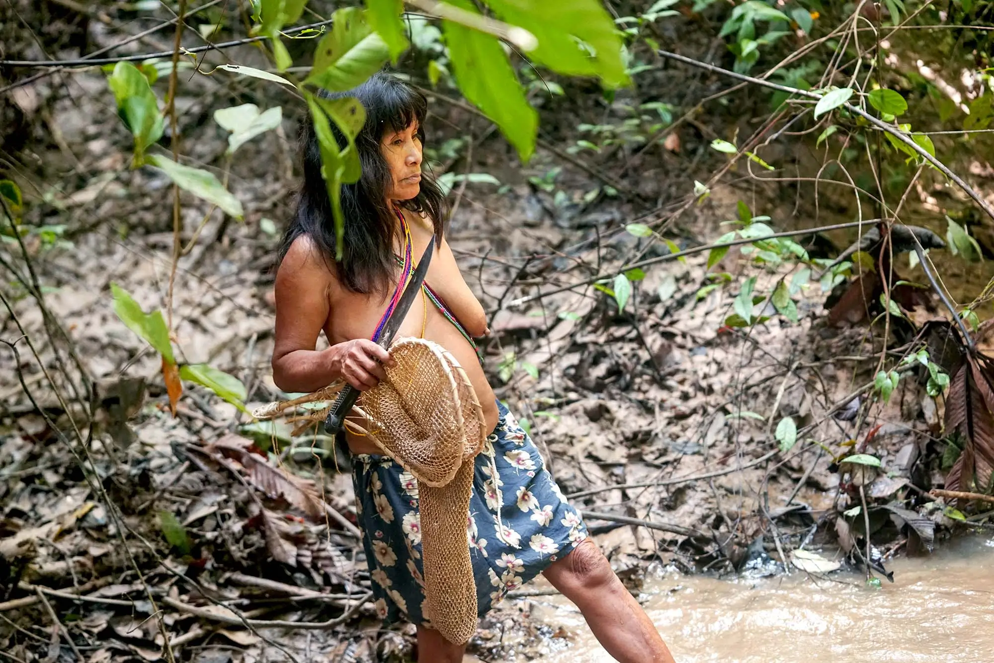 Matsés Woman Practicing Traditional Barbasco Fishing in an Amazonian Stream