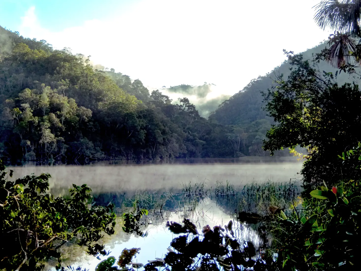 Misty morning lagoon in Sierra del Divisor national park