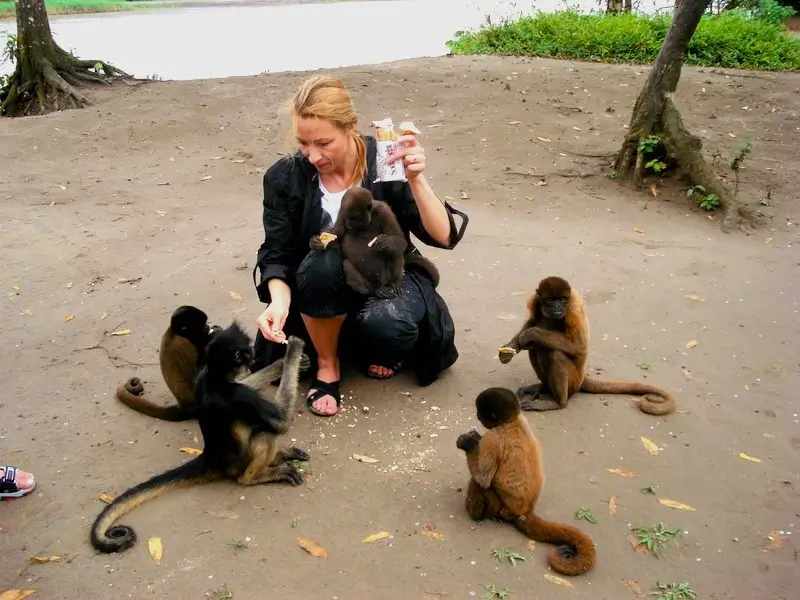 Monkey Island Iquitos Peru