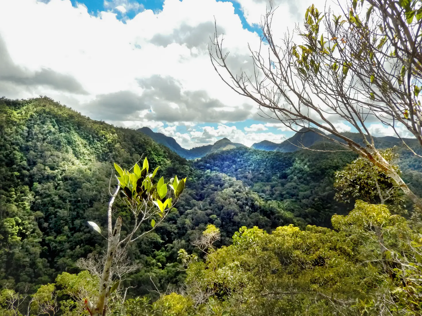 Panoramic view of mountain ranges in Sierra del Divisor