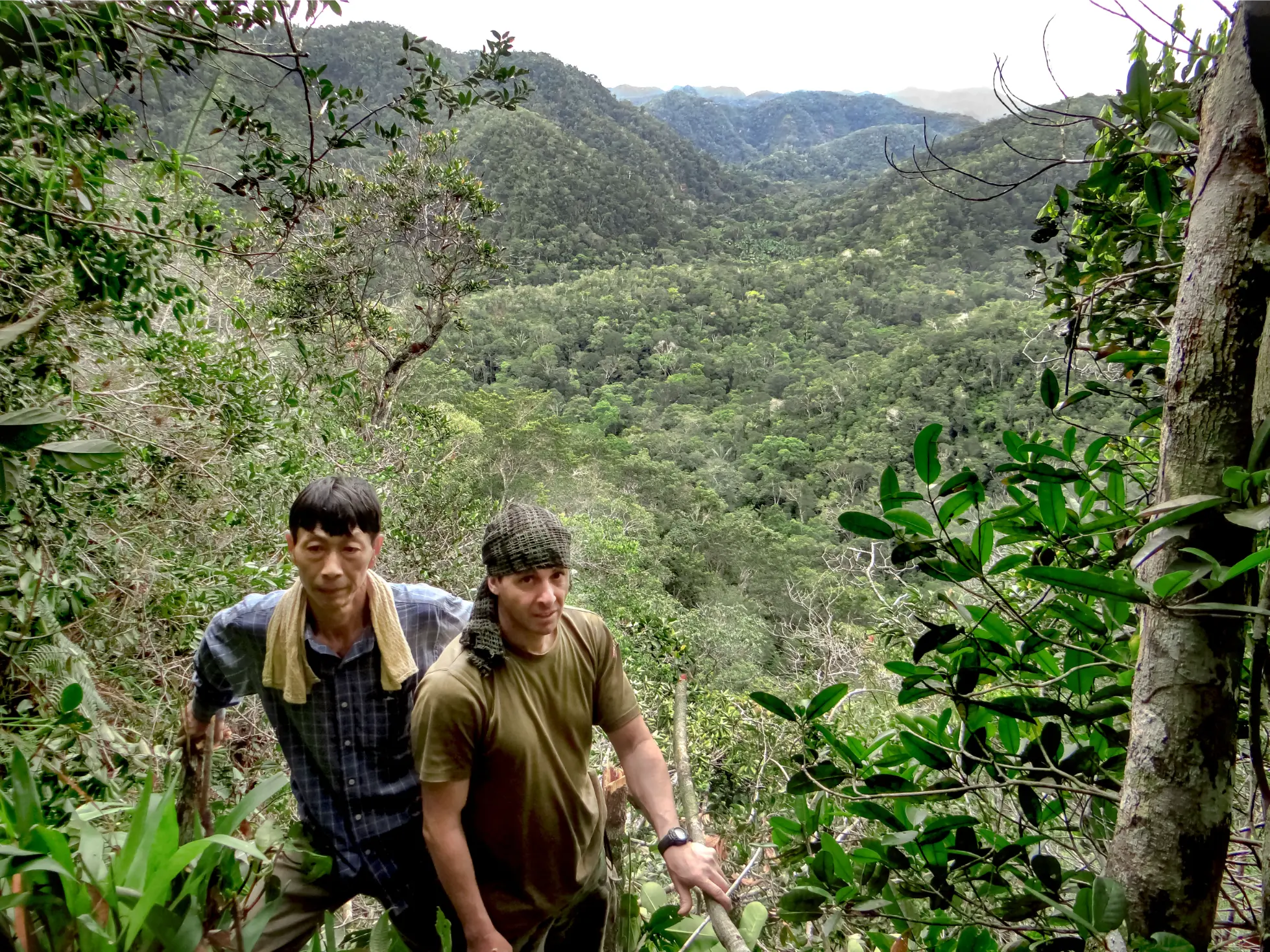 Sierra del Divisor Mountain Trekking