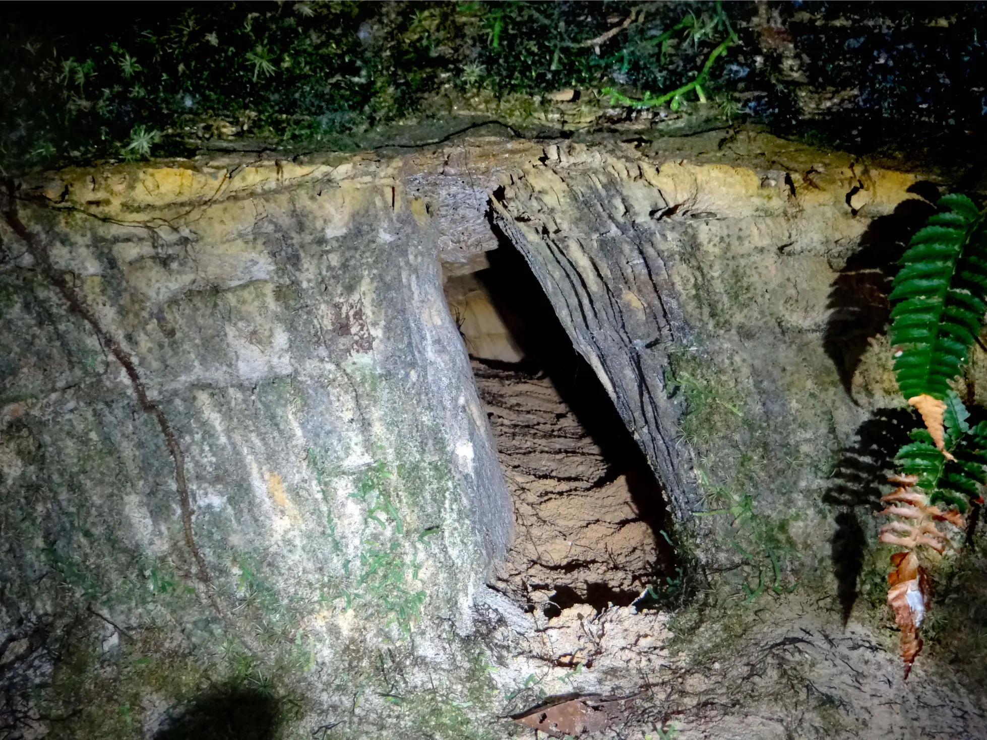 Sierra del Divisor Rock Cave