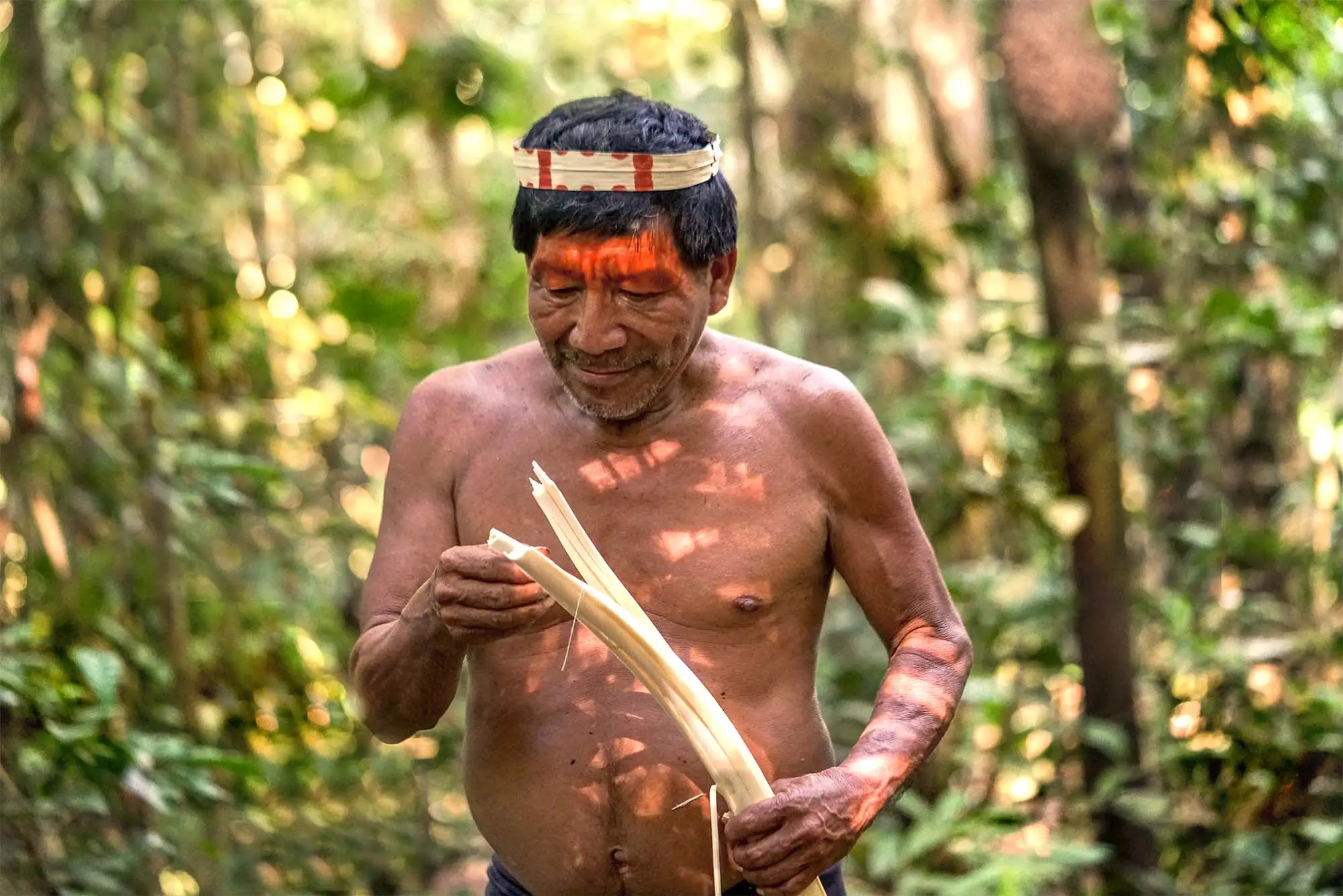 The Flavors of Survival A Matsés Warrior’s Natural Diet