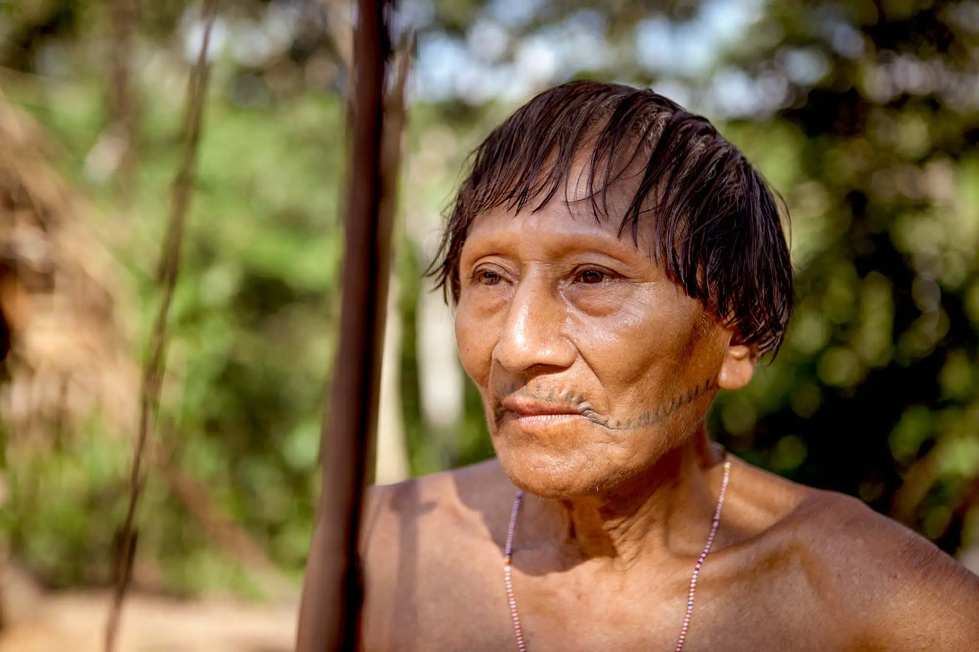 The Warrior's Path Tumi and the Art of Matsés Archery