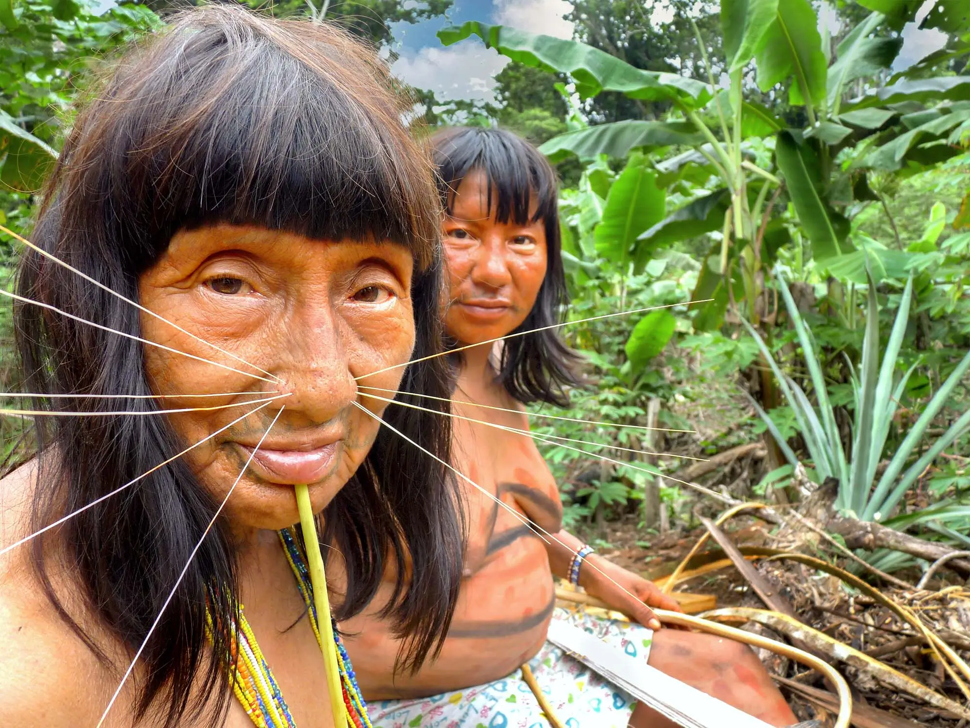 Traditional Matsés Women with Fiber Nose Ornaments (Whiskers) in the Amazon