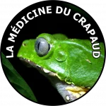 guarranty kambo medicine